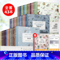 床头灯英语·3000词读物(英汉对照)全套43册 初中通用 [正版]任选床头灯英语系列读物1000词1500词2000词