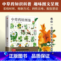 中草药轻图鉴 [正版]图解系列大全矿物与岩石完全图鉴,蝴蝶花草植物动物猫咪世界名犬图鉴系列全新升级版 图解中医入门内容丰