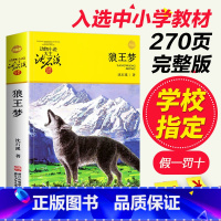 [正版]狼王梦 沈石溪动物小说系列单本大王四年级7-10-11-14岁五六年级儿童文学课外阅读书籍儿童故事读物沈石溪H