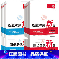 [语文+数学]培优卷+冲刺卷 4本套 一年级上 [正版]2023秋小学期末冲刺新卷100分语文数学上下册RJ版1-6年级