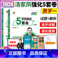 2024汤家凤5套卷 数一 [正版]2024考研数学一二三汤家凤盲点解密强化5套卷考研数学原汤家凤强化10套测试卷考研数