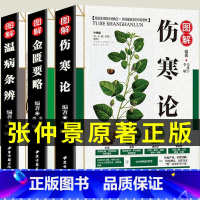 [正版]全套3册 伤寒论 金匮要略张仲景原著 伤寒杂病论 温病条辨 白话解中医入门 零基础学养生书籍大全辑义原著医学类