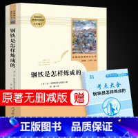 [正版]完整版 钢铁是怎样炼成的初中原著 原版 小学生初中生八年级下语文必读书籍下册中学生名著刚铁是怎样练成的怎么样练