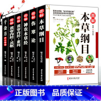 [正版]图解中医名著6册彩画 本草纲目原版全套6本 黄帝内经全集伤寒论张仲景神农本草经 千金方 伤寒杂病论皇帝基础理论