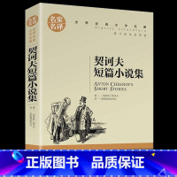 契诃夫短篇小说集 [正版]认准契诃夫中短篇小说选全集全译本中文原版原著契诃夫小说书籍变色龙世界名著外国经典文学