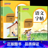 一年级语文字帖上册+下册 小学通用 [正版]小学语文同步练字帖人教版每日一练 小学生一年级二年级三四五六字帖练字钢笔写字