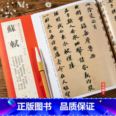 [正版]共20帖苏轼前赤壁赋黄州寒食帖 历代名家书法王冬梅洞庭春色赋中山松醪赋人来得书帖新岁展庆帖 碑帖经典附简体旁注