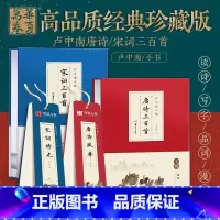 唐诗宋词字卡+古诗三百首 [正版] 唐诗宋词三百首楷书钢笔字帖卢中南小楷 近距离临帖卡临摹字卡毛笔硬笔 软笔书法爱好者女