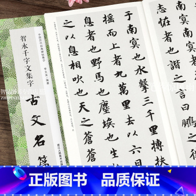 [正版]智永千字文集字古文名篇 收录智永千字文11篇 楷书学生成人简体旁注 桃花源记 滕王阁序 陋室铭 岳阳楼记 醉翁