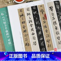 [正版]王铎 八大山人临兴福寺半截碑对照 名家临名帖系列 成人书法练习临摹字帖 毛笔行书书法临摹碑帖名品书刊书籍 河南