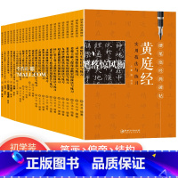 [正版]硬笔临经典碑帖28本 曹全碑灵飞经九成宫醴泉铭书谱钟繇王羲之圣教序黄庭经高湛墓志 技法与练习硬笔字帖 传世经典