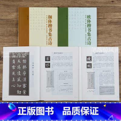 [正版] 楷书集古诗系列4本(柳体欧体赵体颜体)毛笔楷书书法练字帖 步骤详解 中国书店 史晨碑集字古诗智品