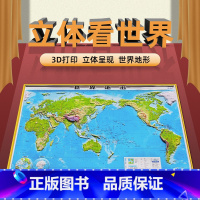 [正版]精雕版2022年世界地形地图 92厘米高清版世界3D立体地图浮雕 3d凹凸山脉 三维地貌墙贴