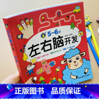 [正版]5-6岁左右脑开发书幼儿智力测试阶梯数学五岁儿童记忆力观察力迷宫书找不同专注力思维逻辑训练书到六周岁宝宝全脑开