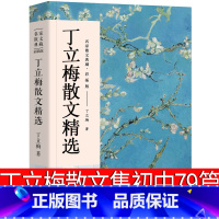 [正版]丁立梅散文集初中79篇全套经典散文作品 丁立梅的书精选暖心美文系列自选集 比时光更坚强 捡得一颗欢喜心 让梦想