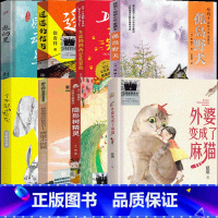 3年级套装8册 [正版]大盗奶奶的完美冒险三年级课外书接力出版社 孤岛野犬 遥远的信号 外婆变成了麻猫 了不起的灰灰