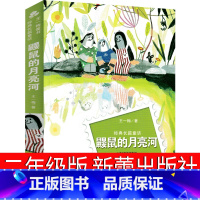 鼹鼠的月亮河 [正版]鼹鼠的月亮河二年级三年级新蕾出版社四年级王一梅童话系列一年级级课外书王一梅的书非注音版精品集儿童读