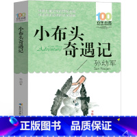 小布头奇遇记 [正版]小布头奇遇记孙幼军二年级三年级一年级小学生必读小布头历险记旅行记课外书阅读书籍儿童读物6-7-8-