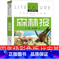 森林报 [正版]森林报四年级版苏维比安基春夏秋冬彩色版下册小学生必读大全集三年级课外书阅读图书二十一儿童读物世纪作品非注