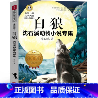 白狼 [正版]白狼书 沈石溪动物小说6篇第七条猎狗斑羚飞渡梅里山鹰棕熊的故事老象恩仇记全集全系列全套单本经典儿童文学四五