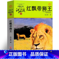 红飘带狮王 [正版]红飘带狮王 沈石溪动物小说精品集系列儿童文学小学生课外书长篇单本作品全集珍藏版品藏书系大王升级版三四