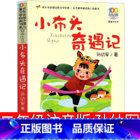 小布头奇遇记 [正版]小布头奇遇记注音版二年级一年级小学孙幼军小布头历险记旅行记三年级彩图美绘版课外阅读书籍儿童读物6-