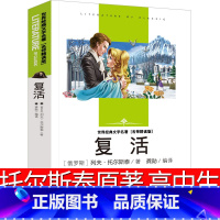 [正版]复活书原著列夫托尔斯泰中学生初中生高中生必读课外书课外书长篇小说世界名著人民俄罗斯文学经典书籍北京燕山出版社