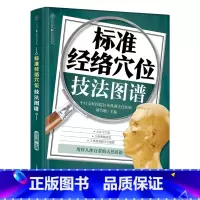 [正版]标准经络穴位技法图谱 穴位图人体经络穴位图养生书籍人体经络穴位按摩大全取穴用穴 传统技法