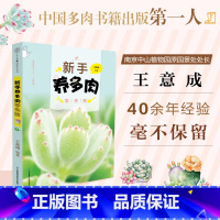 [正版]新手养多肉零失败 多肉书 多肉种植教程 多肉养殖书籍花卉种植技术书盆景书养花书多肉养殖方法多肉书籍大全