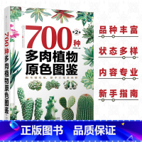 [正版]700种多肉植物原色图鉴 第二版 多肉植物图鉴养多肉的书多肉养殖书籍多肉养殖教程多肉图谱图鉴多肉品种大全