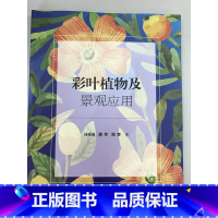 [正版]彩叶植物及景观应用 作者:任全进 魏伟 路奎 江苏凤凰科学技术出版社