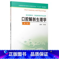 [正版]2019年版口腔解剖生理学 第二版 主编:万澎波 ISBN编号:9787553793382 出版社:江苏凤凰科