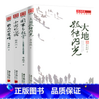 [正版]南方周末记者文集(共4册) 大地孤独闪光+国家与教堂+中国的心病+野马的爱情 书籍