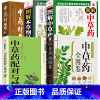 [正版]5册中草药全图鉴+中药材百科+图解本草纲目+中草药配对与禁忌 +图解中草药大全 书籍