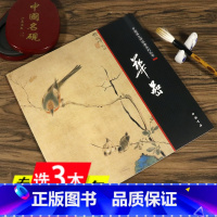 [正版]华嵒 中国画大师经典系列丛书 华喦天美画典花鸟草虫历代名家册页图书国画绘画入门临摹鉴赏范本书籍