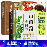 [正版]3册中草药全图鉴+中药材百科+生活中常用的200种道地药材 书籍