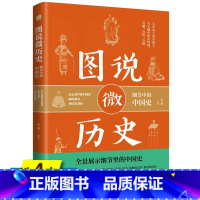 [正版]库存尾品4本39图说微历史:细节中的中国史 秦代至清代的趣历史你一定爱读的极简中国史细节这个历史很有趣不忍细看