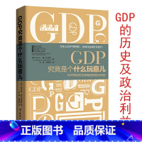 [正版]库存尾品GDP究竟是个什么玩意儿:GDP的历史及其背后的政治利益以及政治经济学的国民体系中的作用经济学原理书籍