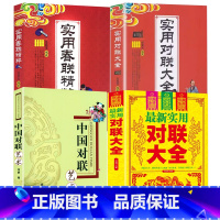 [正版]4册实用对联大全+实用春联精粹+实用对联大全+中国对联艺术 书籍