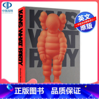 [正版]英文原版 KAWS: WHAT PARTY Orange Edition 考斯品牌设计 潮牌艺术设定集 涂