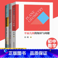 平面几何 套装3册 高中通用 [正版]平面几何的知识与问题单遵+平面几何题的解题规律+平面几何强化训练题集初中分册万喜人