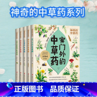 神奇的中草药系列[全5册] [正版]神奇的中草药 全5册 家门外的中草药 厨房里的中草药 人名里的的中草药 传奇里的中草