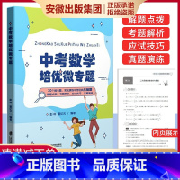 [正版]中考数学培优微专题 30个微专题 实战演练中考经典压轴题 彭林 童纪元编著 初中通用备战中考专题训练锻炼数学思