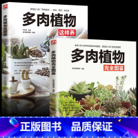 [正版]2册 多肉植物完全图鉴+多肉植物这样养 多肉植物组合盆栽绿植 常见多肉鉴赏养护指南花卉养殖多肉种植盆景制作书多