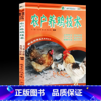 [正版]35元任选5本书籍 畜牧 养殖等农户养鸡技术 书籍 广东科技出版社出品 教你怎样养好鸡仔怎么把鸡养好书籍