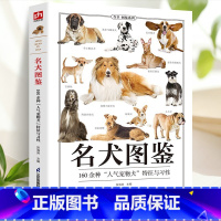 [正版]名犬图鉴养狗书籍狗狗训练教程 训狗训犬书籍狗狗品种大全名犬图鉴宠物书籍大全狗的品种大全图狗狗书狗书籍养狗书籍饲