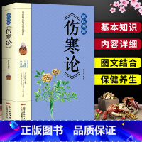 [正版]彩色图解版 伤寒杂病论张仲景国学经典 中医基础理论医学书籍 中医书籍养生大全 中医临床书 国学经典 医学四大经