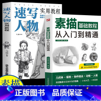 [正版]2册零基础学会素描 透视比例结构体块明暗全解素描零基础教程从入门到精通初级教程材书籍单个体石膏几何体成人美术书