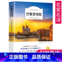 [正版]35任选5巴黎圣母院书 雨果著 无删减 全译本 名家名译 巴黎圣母院书雨果 世界名著书籍