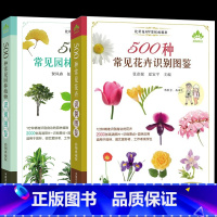 [正版]彩图典藏 全2册500种常见花卉园林植物识别图鉴+500种常见园林植物识别图鉴 高清彩图助你快速识别原植物鉴别